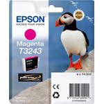 CARTUCCIA EPSON C13T32434010 PULCINELLA DI MARE T3243 (980PG) MAGENTA - ORIGINALE
